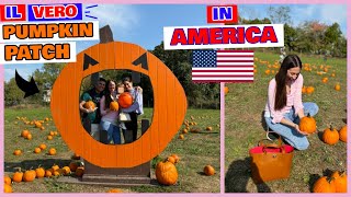 UN’ESPERIENZA TIPICA AMERICANA PUMPKIN PATCH 🎃 E SUPER HAUL CASA 🇺🇸 [upl. by Kara]