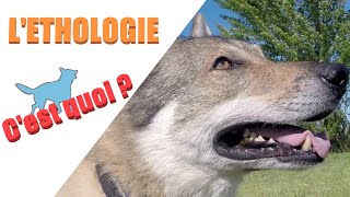 Question déthologie 1  Léthologie [upl. by Best]