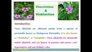 Industrial production estimation and utilization of vincristine and Vinblastine [upl. by Aiel]