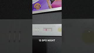 TTC 1  13 DPO Night  Pregnancy test  Faint line  21 Sept 2024  Baby Bump ttcjourney [upl. by Christi431]