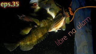 eps35 NightSpearfishing Bucas Grande Island SDN [upl. by Nnyla]