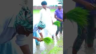 Achar di fadi tere dil ch beh gyi 😂🤣 viral trending shorts youtubeshorts ytshorts viralshorts [upl. by Wennerholn]