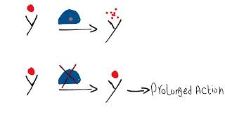 Pharmacodynamics Idiosyncrasy [upl. by Yzmar]