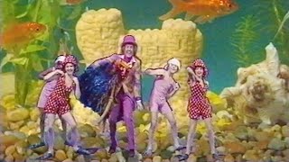 Rod Hull and the Pink Windmill Kids The Beautiful Briny [upl. by Annaynek944]