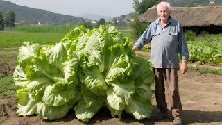 Kad OVO sipam u zemlju jesenska salata eksplodira od rasta [upl. by Ideih]