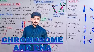 Chromosome and DNA  Types of Chromosomes  Biology 12th  Chapter 20 Introduction [upl. by Idnis37]