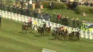 Cheltenham Gold Cup Chase 2011 [upl. by Niles]