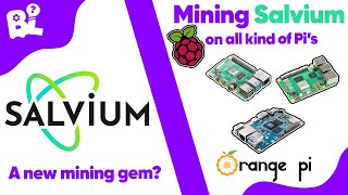 HOW TO MINE SALVIUM with a PI  Raspberry Pi Orange Pi [upl. by Anelat]