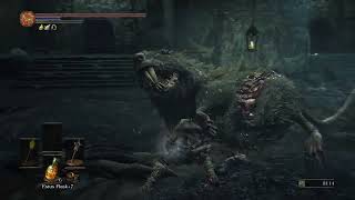 Dark Souls III  Strength Part 24  Profaned Capital [upl. by Macdermot]