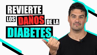 Qué es la DIABETES y Cómo REVERTIR su Daño de Forma NATURAL [upl. by Jazmin]