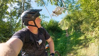 DJI NEO  FOLLOW Tracking Test im EXTREMEN WALDSTÜCK mit Mountainbike [upl. by Netsyrc918]