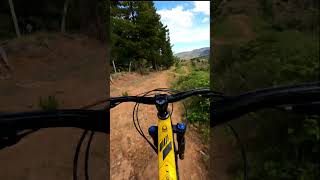 Flow line Acequias Light angol mtb downhill [upl. by Arabela750]