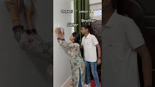 ये क्या हुआ😱🤯🦎viralvideoscomedy shorts youtubeshorts trending relatable brothersister [upl. by Nylsej]