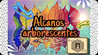 Alcanos arborescentes Nomenclatura fórmula semidesarrollada y taquigráfica [upl. by Elleuqar767]