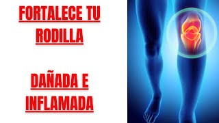 🦵FORTALECE tu RODILLA INFLAMADA❌ y con LÍQUIDO ✅HAZLO SENTADO y en 10 MINUTOS🕒 [upl. by Sheffie258]