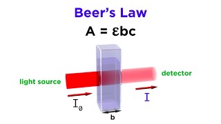 Spectrophotometry and Beers Law [upl. by Sheply]