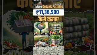 quotUnlock ₹1136500 from 1 Acre of Organic Farmingquot shorts [upl. by Alfreda]