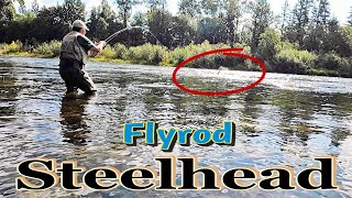 Steelhead Fishing The Cowlitz River [upl. by Trebor]