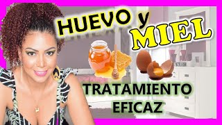 CABELLO MALTRATADO Y RESECO HUEVO Y MIEL 🍳🍯 Tratamiento natural casero FUNCIONA💗 YOLIANA GAMBOA [upl. by Auberon]