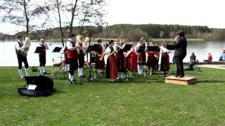 Standkonzert Musikverein Markt Allersberg am Rothsee [upl. by Gnolb]