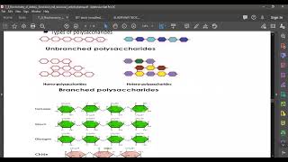 L26 HomoPolySaccharides 2 [upl. by Gerri]