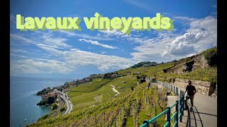 Day visit to Lavaux Vineyards  UNESCO world heritage  Switzerland 🇨🇭 [upl. by Anneis]