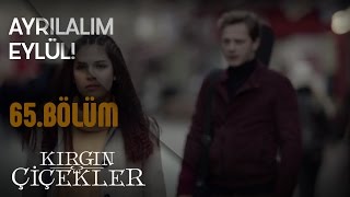 Kırgın Çiçekler 65 Bölüm  Eylül ile Serkan ayrılıyor [upl. by Fahy]