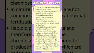 ANTHER CULTURE in 60 secs feedshorts biologyshorts factshorts biotechnology agriculture ptc [upl. by Ahsatsana927]