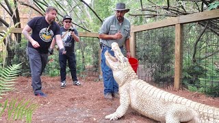 Personal Tour of Gatorland Orlando  Inside The Newest Attraction  Up Close With Alligators amp MORE [upl. by Gherlein]