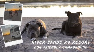 River Sands RV Resort  Ehrenberg AZ  Dog Friendly Campground [upl. by Tratner175]