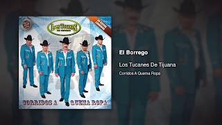 El Borrego  Los Tucanes De Tijuana Audio Oficial [upl. by Rojam594]