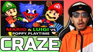 Poppy Playtime VS MARIO amp LUIGI WildCraft  Reaction [upl. by Oivat277]