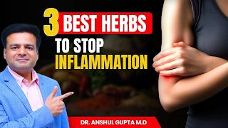 Reduce Inflammation Quickly  3 Secret Herbs [upl. by Cirdet]