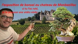 Exposition Monbazillac 2017  LE BONSAi [upl. by Heigl]