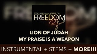 LION OF JUDAH EDDIE JAMES  INSTRUMENTAL [upl. by Pontius]