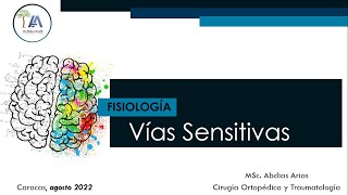 Vías Sensitivas Ago 22 [upl. by Catriona394]