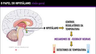 Aprendendo Fisiologia Termorregulação por Henrique Ribeiro Müller [upl. by Ennovoj]