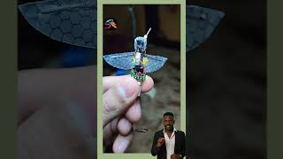 Three Electronic insects and humming bird shortvideo technology [upl. by Ddene]