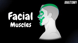 Muscles of Facial Expression Parts Origin Insertion Function [upl. by Blakely152]