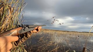 This HIDDEN Lake was LOADED with MALLARDS LIMITED OUT [upl. by Akemed]