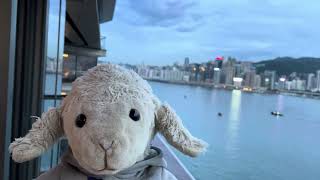 K11 Artus Hong Kong staycation 李家羊 kawaiibibi staycation victoriaharbour 維多利亞港 [upl. by Rhoads172]