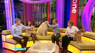 BBC Bloopers  Outtake TV  9042010 [upl. by Naaman46]