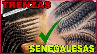 💖 TRENZAS PEGADAS MÉTODO SENEGALÉS ⚡ [upl. by Uv]