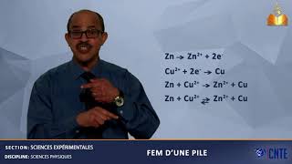 Section Sciences Expérimentales  Sciences Physiques  fem dune pile [upl. by Bandler]