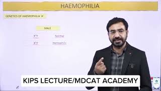 Hemophilia  Genetics  Kips lecture [upl. by Jessamyn671]