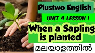 PlustwoEnglishOnlineclass Unit 4 lesson 1 When a Sapling is Plantedമലയാളത്തില്‍ [upl. by Engedus]