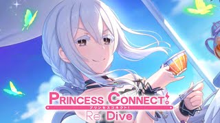 Echidna Summer Pull  Princess Connect ReDive [upl. by Malca]