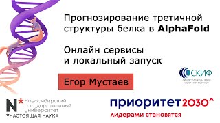 Прогнозирование третичной структуры белка в AlphaFold  Егор Мустаев [upl. by Onimixam839]