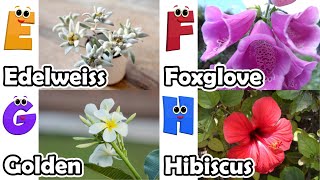 Flowers Alphabet Song  Flowers ABC Song  A to Z Flowers Names  Phonics for Kids [upl. by Renie]