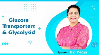 Glucose Transporters amp Glycolysid By Dr Pooja For MBBS 1st Proff [upl. by Patti]